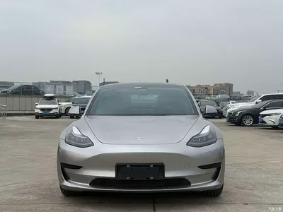 2022 Tesla Model 3 Model Rear-Wheel Drive Version, фото 3, лот 10358912