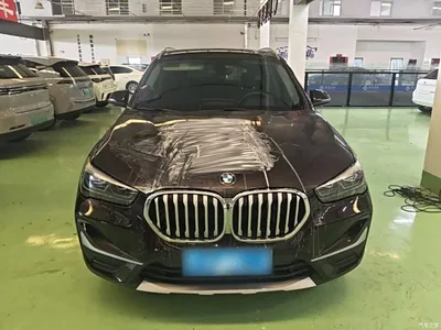 2020 BMW X1 sDrive20Li Premium Edition, фото 3, лот 10467437