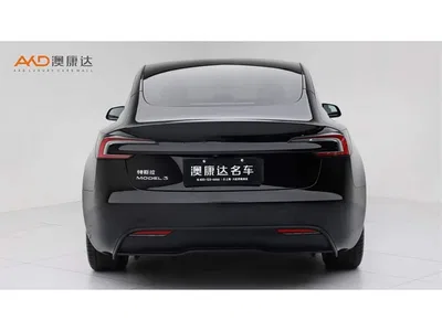 2023 Tesla Model 3 Rear-Wheel Drive, фото 4, лот 11496903