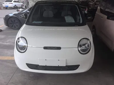 2023 Changan Qiyuan Changan Lumin Model 205km Fragrant Edition, фото 2, лот 10519758