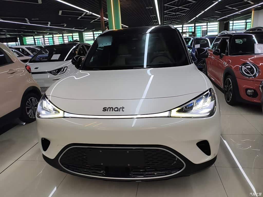 2022 smart Elf #1 Pulse Heartbeat Edition, фото 3, лот 11177898