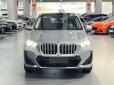 2023 BMW X1 sDrive25Li M Sport Package, фото 2, лот 10420574