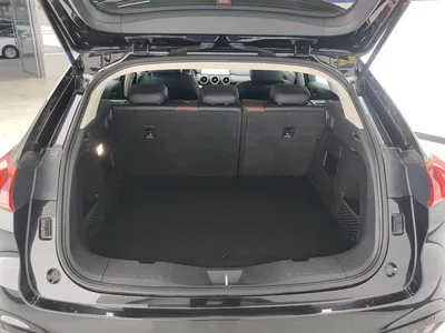 2020 WEY VV5 1.5T 2WD Style Pioneer, фото 4, лот 10270632