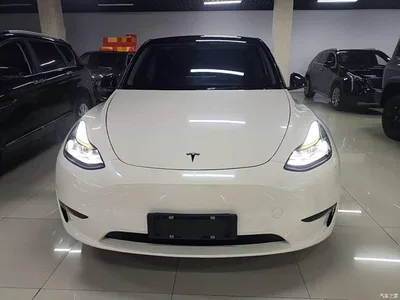 2021 Tesla Model Y Standard Range Rear-Wheel Drive, фото 3, лот 10370020