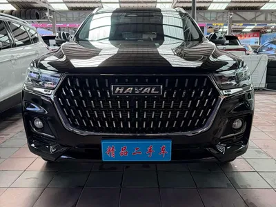 2023 Haval H6 National Trend Edition 1.5T Automatic Champion, фото 2, лот 10283377