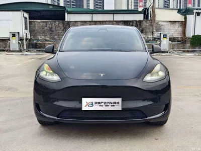 2023 Tesla Model Y Rear-Wheel Drive Edition, фото 2, лот 11012181