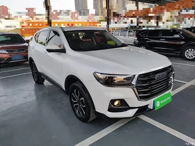 2023 Haval H6 National Trend Edition 1.5T Automatic Urban, фото 4, лот 10284427