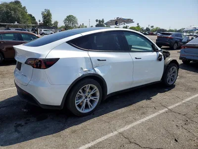 2023 TESLA MODEL Y, фото 3, лот 10803485
