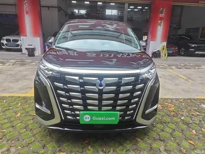 2022 Denza D9 DM-i 970 AWD Flagship, фото 3, лот 10434871