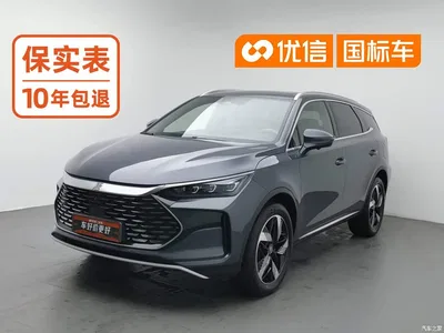 2024 BYD Tang New Energy DM-i Glory Edition 112KM Deluxe, фото 1, лот 10396542