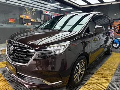 2020 Buick GL8 Model ES Landglory 653T Luxury, фото 1, лот 10256958