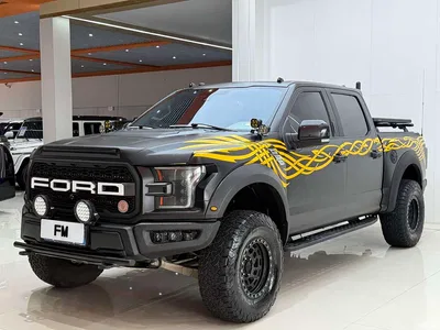 2018 Ford F-150 Raptor 3.5T Raptor Performance Enhanced Edition, фото 1, лот 10279677