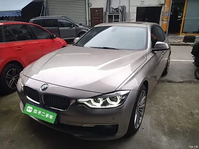 2018 BMW 3 Series 320Li Fashion Style, фото 1, лот 10827185