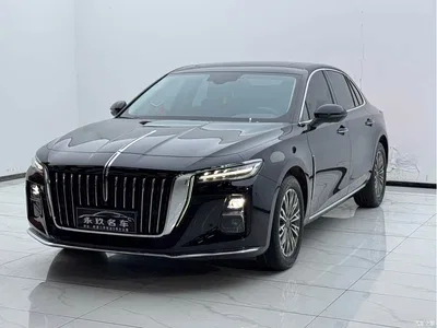 2024 Hongqi H5 1.5T DCT Smart Connect Flag Rhythm Edition, фото 1, лот 10288563