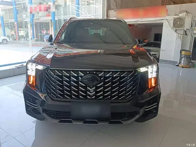 2022 GAC Trumpchi Trumpchi GS8 Pilot Series 2.0TGDI 2WD Luxury Smart Connect Edition (7-Seater), фото 3, лот 10421621