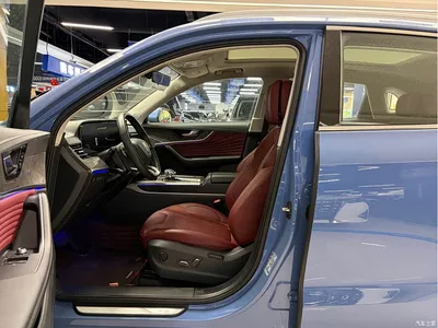 2023 Hongqi HS5 2.0T 4WD Flag Leader Pro, фото 4, лот 10289173