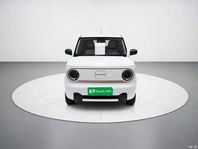 2023 Geely Galaxy Panda Mini 200km Endurance Bear, фото 2, лот 11176454
