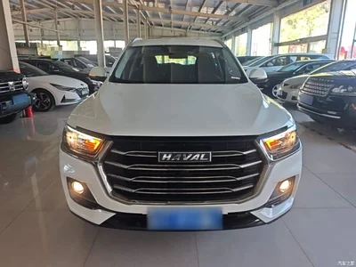 2021 Haval H6 National Trend Edition 1.5T Automatic Urban Edition, фото 3, лот 11502622