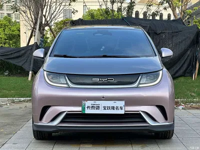 2021 BYD Dolphin 401km Knight Edition, фото 2, лот 10257001