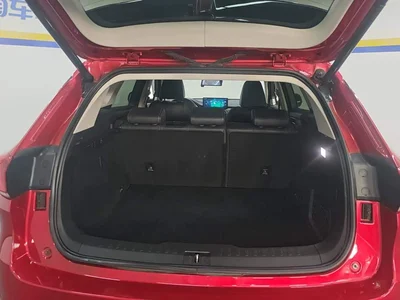 2020 WEY VV6 2.0T 2WD Smart Enjoy+, фото 4, лот 11202382