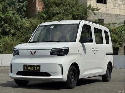 2025 Wuling Motors Wuling Zhiguang NEV Model Comfort, фото 1, лот 10835436