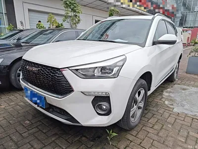 2020 Haval H6 Coupe Smart Connect Edition 1.5T Automatic 2WD Elite, фото 1, лот 10286067