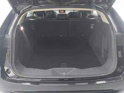 2017 WEY VV7 2.0T Flagship, фото 4, лот 10383281