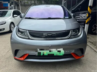 2021 BYD Dolphin Model 405km Fashion Edition, фото 2, лот 10254098