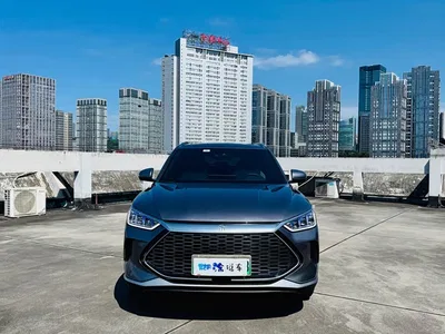 2021 BYD Song PLUS PHEV DM-i 110KM Flagship PLUS, фото 2, лот 10274324