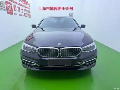 2020 BMW 5 Series 530Li Premium Luxury Package, фото 2, лот 11547896