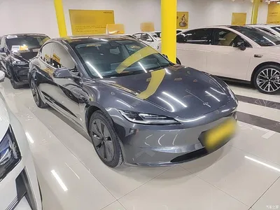 2023 Tesla Model 3 Rear-Wheel Drive, фото 4, лот 10369254