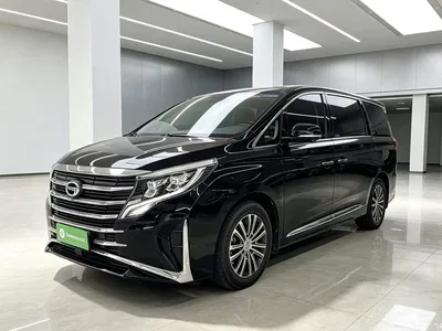 2021 GAC Trumpchi Trumpchi M8 Leading Show Series 390T Ultimate Edition, фото 1, лот 11089218