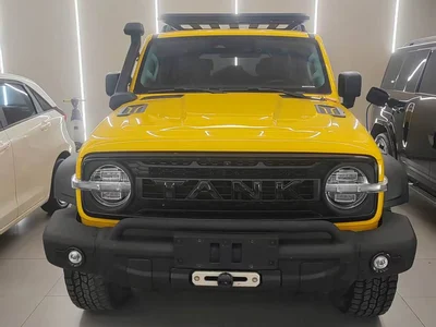 2022 Tank 300 2.0T Border Limited Edition, фото 2, лот 11502408