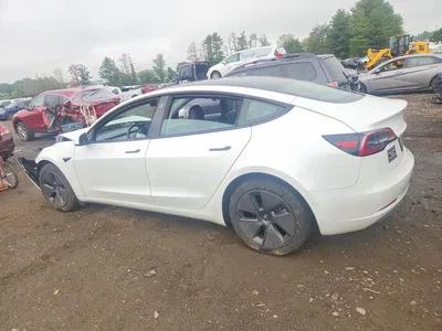 2021 TESLA MODEL 3, фото 2, лот 10856470