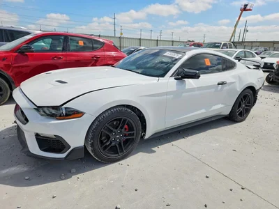 2019 FORD MUSTANG, фото 1, лот 10553431