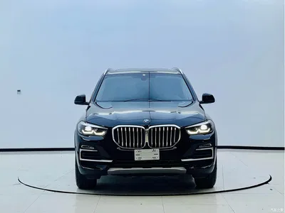 2020 BMW X5 New Energy(Imported) xDrive45e M Sport Package, фото 2, лот 11101844