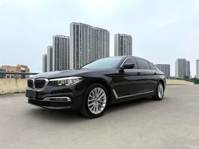 2019 BMW 5 Series 530Li Leading Luxury Package, фото 1, лот 11549504