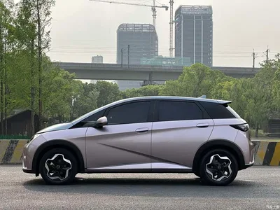 2021 BYD Dolphin Model 405km Fashion Edition, фото 4, лот 10257970