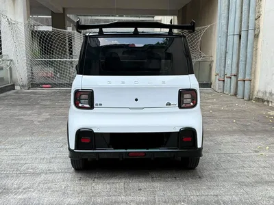 2024 Geely Galaxy Panda 200km Panda Kart, фото 4, лот 11195999
