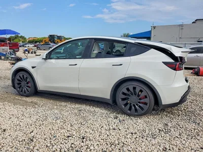 2024 TESLA MODEL Y, фото 2, лот 10856572