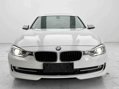 2016 BMW 3 Series 320Li Progressive, фото 2, лот 11016634