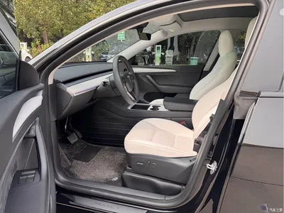 2023 Tesla Model Y Rear-Wheel Drive Edition, фото 2, лот 10828189
