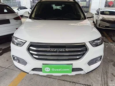 2019 Haval H6 Sport 1.5T Automatic 2WD Elite (China VI), фото 3, лот 11215601