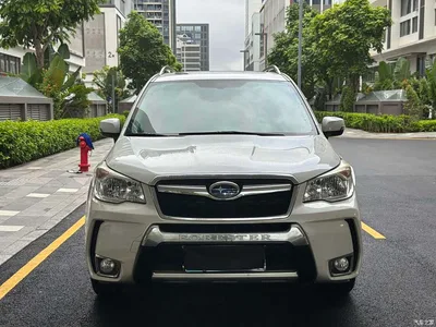 2015 Subaru Forester 2.0i Special Commemorative Edition, фото 2, лот 10341460
