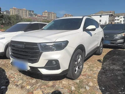 2021 Haval H6 National Trend Edition 1.5GDIT Automatic Champion Edition, фото 1, лот 11545723