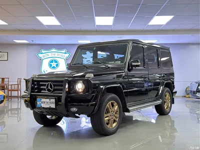 2010 Mercedes-Benz G-Class G 500, фото 1, лот 10261060