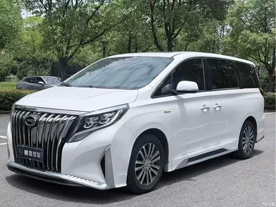 2021 GAC Trumpchi Trumpchi M8 Master Series 390T Ultimate Edition, фото 1, лот 10420489