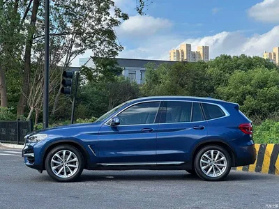 2020 BMW X3 xDrive25i Luxury Package, фото 4, лот 10411317