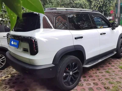 2021 Haval Big Dog 1.5T DCT 2WD Malinois - Wangcai Edition, фото 3, лот 10392435