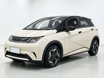 2021 BYD Dolphin Model 405km Fashion Edition, фото 1, лот 10434050